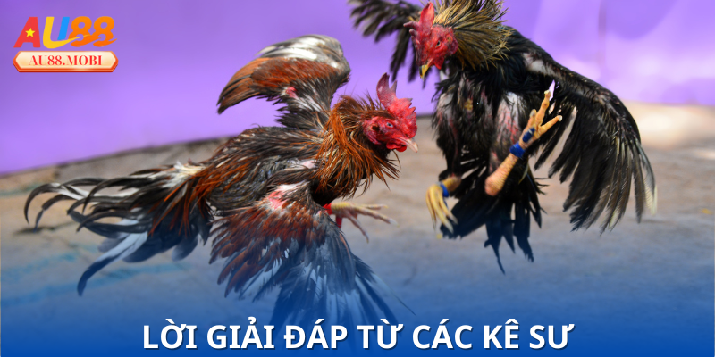 Phong thủy và sức mạnh tiềm ẩn