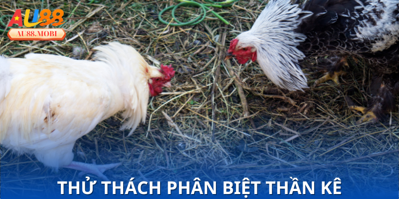 Sai lầm phổ biến khi nhận diện