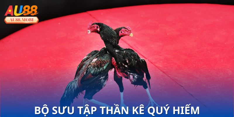 Danh sách chi tiết 33 Loại Gà Thần Kê