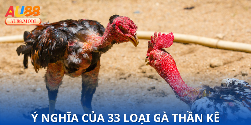 Khám phá nguồn gốc Thần Kê