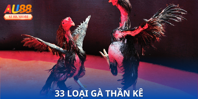 33 Loại Gà Thần Kê