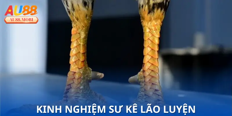 Tầm quan trọng của kỹ năng Coi Vảy Gà