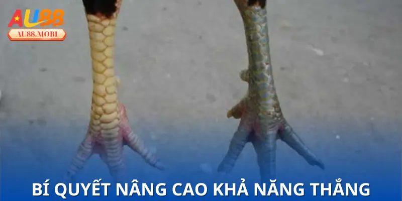 Phương pháp được truyền lại qua nhiều đời