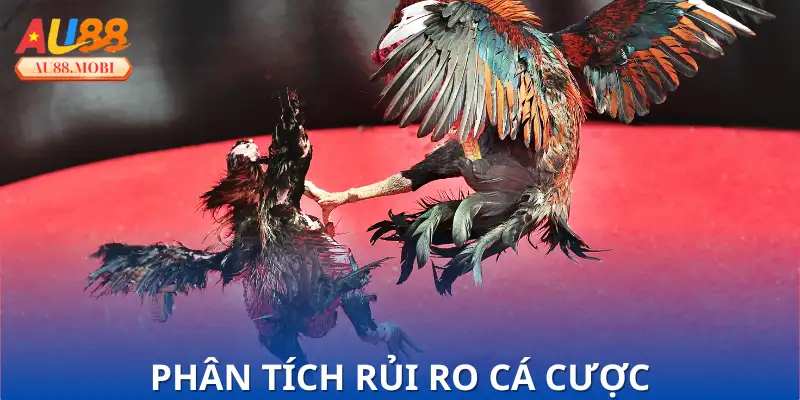 Cảnh báo nguy cơ khi chọn sai sân chơi