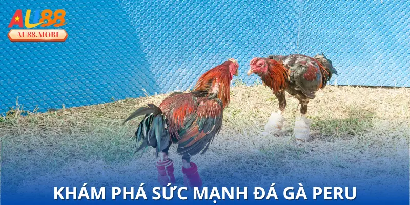 Phong cách thi đấu mạnh mẽ quyết liệt
