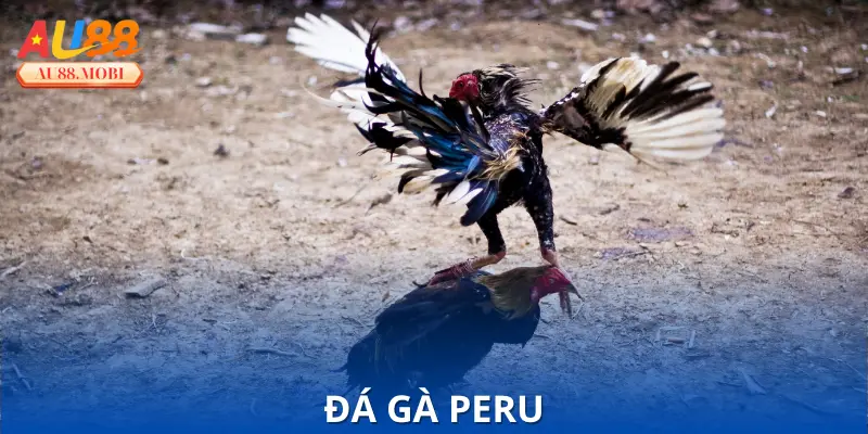 Đá Gà Peru