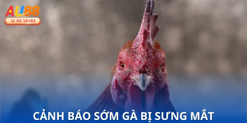 Biểu hiện bệnh dễ nhận biết