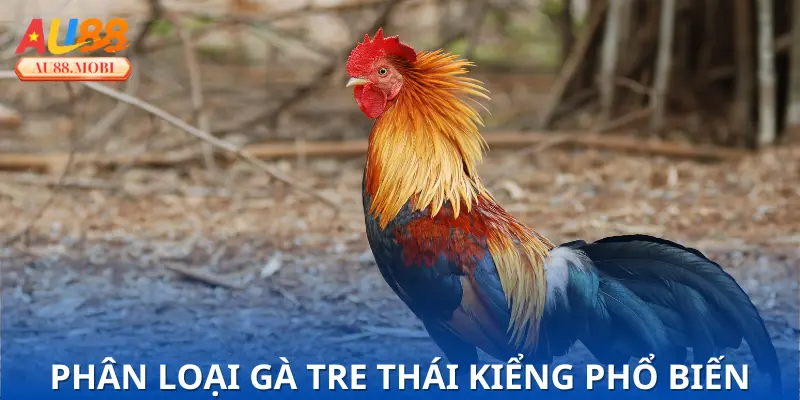 Các dòng gà kiểng được ưa chuộng hiện nay