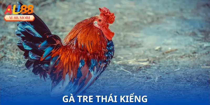 Gà Tre Thái Kiểng