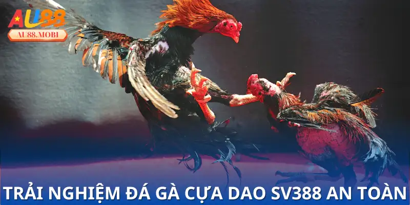 Cảnh báo nguy cơ khi chọn sai sân chơi