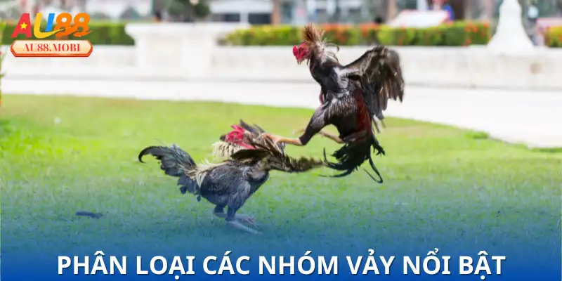 Những nhóm vảy tốt nên biết