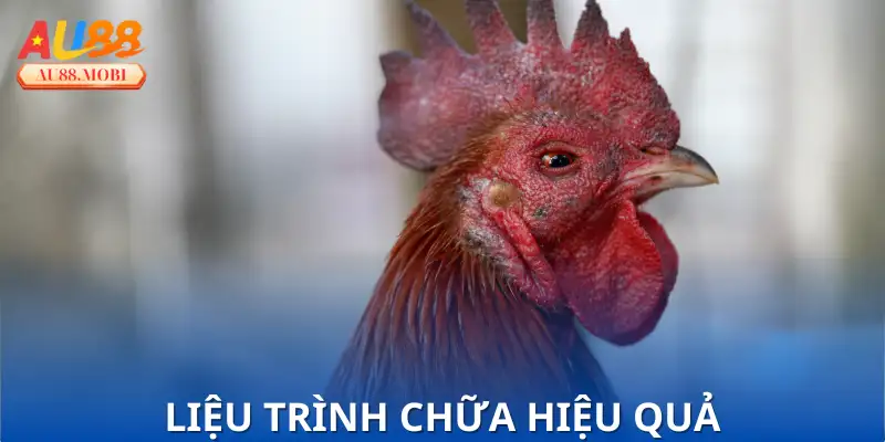 Cách xử lý tại nhà đơn giản