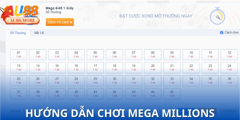 Hướng dẫn chơi Mega Millions bằng 1 tấm vé